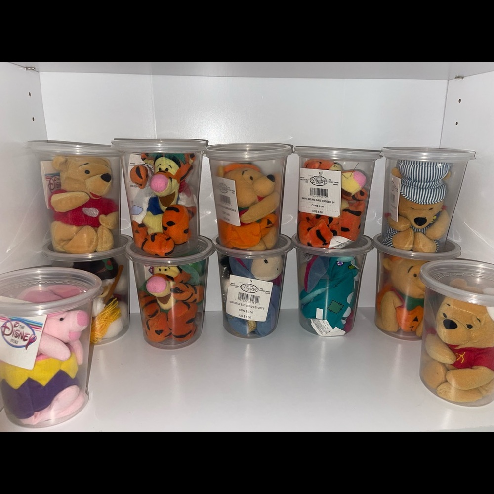 Disney’s Winnie the Pooh beanie babies!